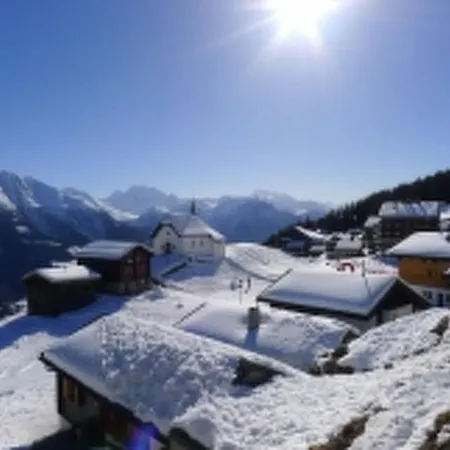 Huwetz Eg Sued Appartement-fewo- Dusche Oder Bad- Wc By Interhome Apartamento Bettmeralp